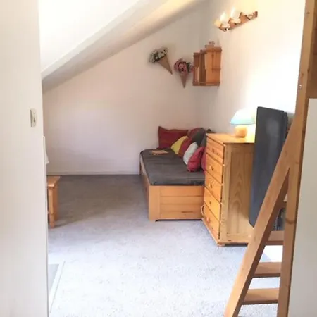 Mezzanine 4 Pers, Proche Pistes Et Commerces, Balcon Est, Animaux Bienvenus - Fr-1-330-530 *